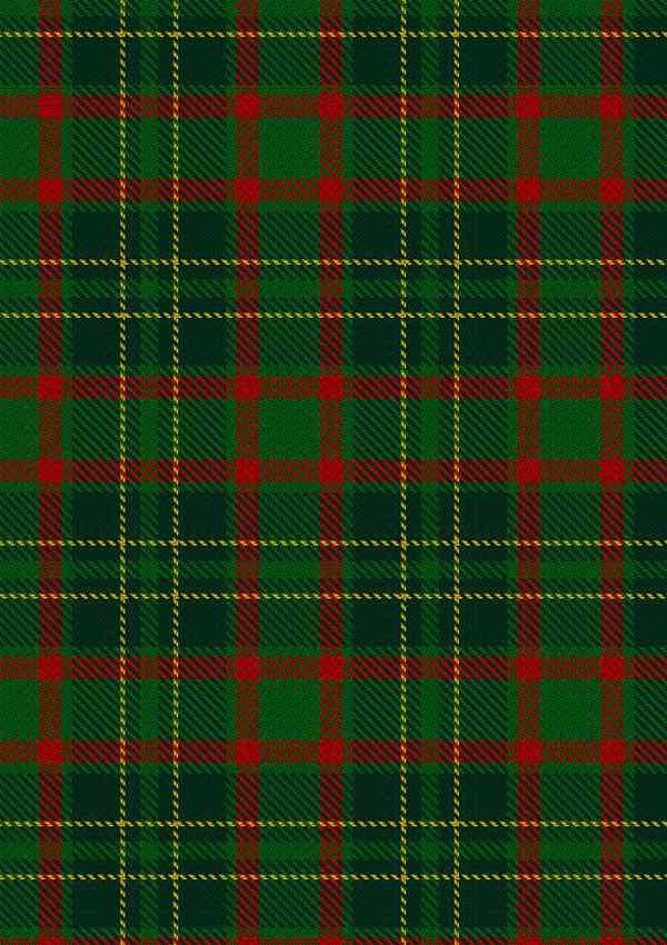 Clan Doyle Tartan Kilt