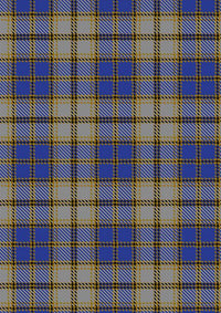 Independence Tartan Fabric