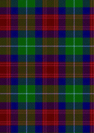Akins Clan Tartan Fabric