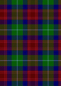 Akins Clan Tartan Fabric