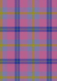Aliam Tartan Fabric