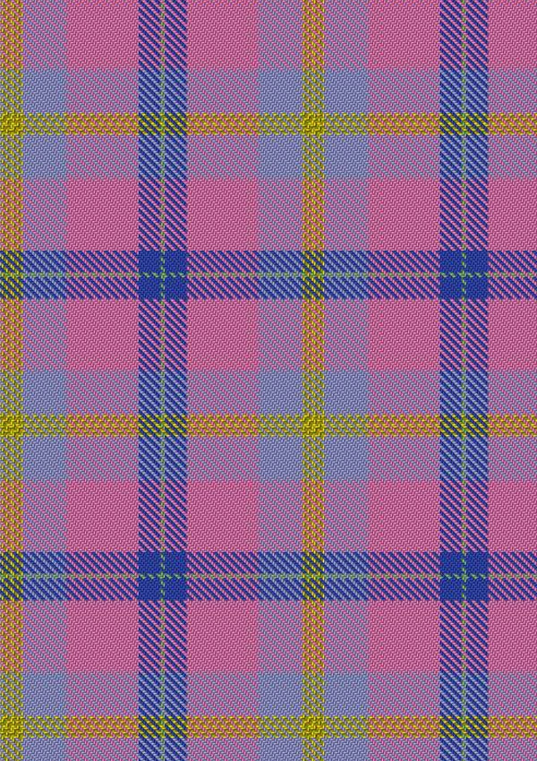 Aliam Tartan Fabric