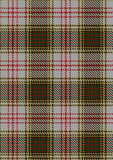 Anderson_Dress_Tartan_Fabric_1514