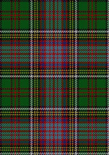 Anderson_of_Kinneddar_Hunting_Tartan_Fabric_1396