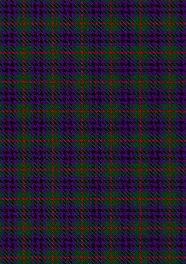 Austin_Wilsons_No137_Tartan_Fabric_269