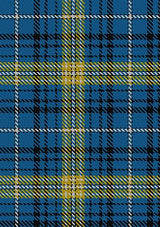 Avalon_Carroll_House_Tartan_Fabric_6362