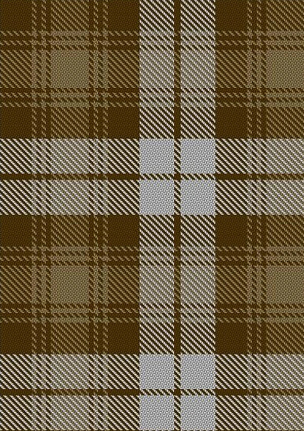 Baillie_Dress_Tartan_Fabric_6379