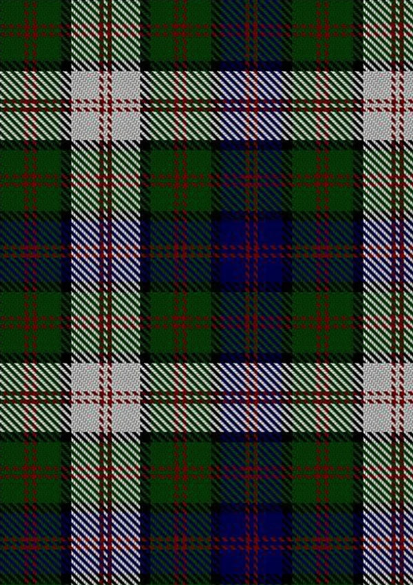 Blair_Dress_Tartan_Fabric_483