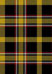 Brady_George_and_Family_Tartan_Fabric_13737
