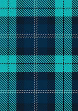 BrewDog_Punk_Tartan_Fabric_13577