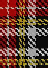 Buchanan_Old_Dress_Unofficial_Tartan_Fabric_1254
