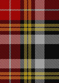 Buchanan_Old_Dress_Unofficial_Tartan_Fabric_1254