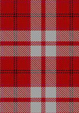 Cameron_Hose_2_Tartan_Fabric_1598