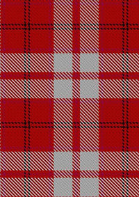 Cameron_Hose_2_Tartan_Fabric_1598