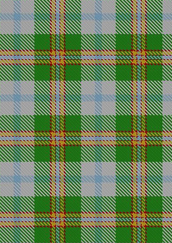 Cooper_Couper_Dress_Dalgleish_2_Tartan_Fabric_574
