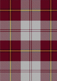 Cunningham_Dress_Burgundy_Dance_Tartan_Fabric_1873