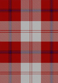 Cunningham_Dress_Tartan_Fabric_563