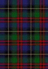 Deas_Tartan_Fabric_2153