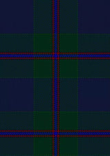Devlin_Patrick_Tartan_Fabric_12666