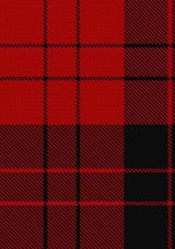 Erskine_Paton_Tartan_Fabric_1187