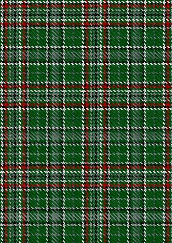 Gayre_Dress_Tartan_Fabric_161