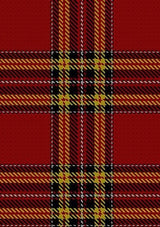 Glennie_Personal_Tartan_Fabric_4116