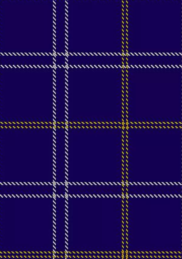 Greenock_Morton_Football_Club_Tartan_Fabric_7467