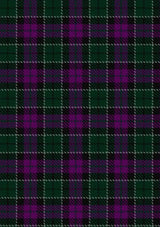 Lennie_Tartan_Fabric_725
