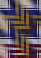 Lysaght_Dress_Tartan_Fabric_6593