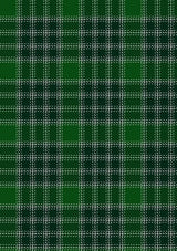 MacDonald_Lord_of_the_Isles_Hunting_Tartan_Fabric_2209
