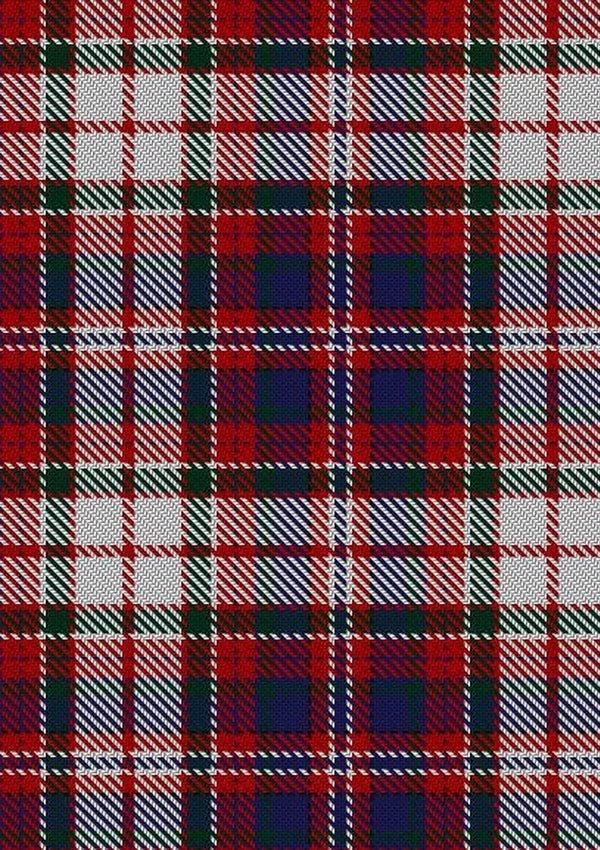 MacFarlane_Dress_Tartan_Fabric_659