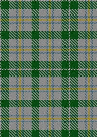 MacGiboney_Dress_Tartan_Fabric_3839