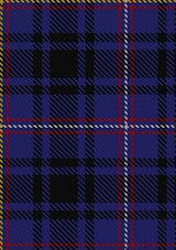 MacIver_of_Strome_Personal_Tartan_Fabric_5810