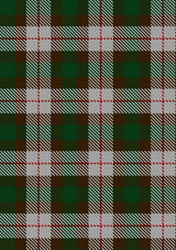 MacKinnon_Dress_Tartan_Fabric_921