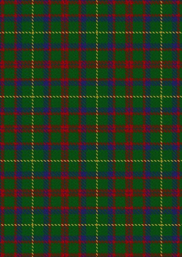 MacKintosh_Hunting_Tartan_Fabric_544