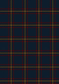 MacLaine_of_Lochbuie_Hunting_Tartan_Fabric_491
