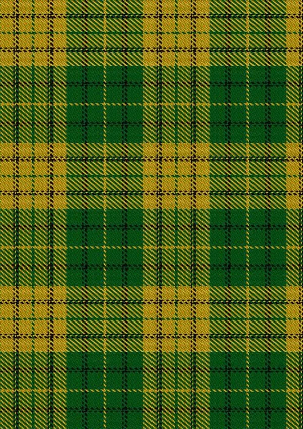 Meredith_of_Wales_Tartan_Fabric_6167