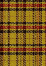 Morgan_of_Wales_Tartan_Fabric_5760