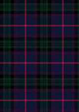 Nixon_R_Tartan_Fabric_13667