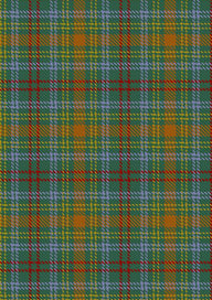 O_Brien Tartan Fabric