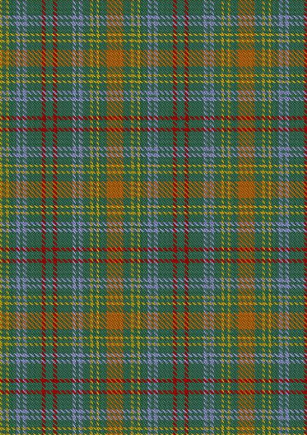 O_Brien Tartan Fabric
