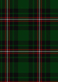 Page Tartan Fabric