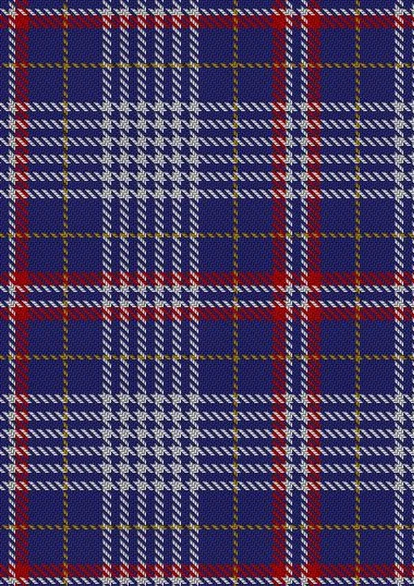 Parker_Dress_USA_Tartan_Fabric_6446