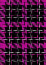 Punky_Princess_Tartan_Fabric_10618