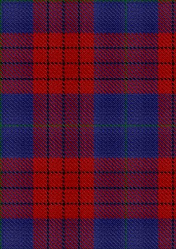 Robinson_Dress_Pendleton_1_Tartan_Fabric_739