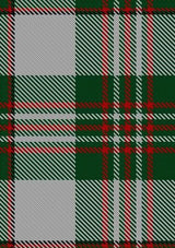 Scott_Dress_2_Tartan_Fabric_1007