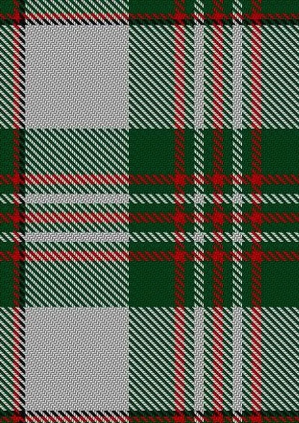 Scott_Dress_2_Tartan_Fabric_1007