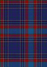 Selkirk_Tartan_Fabric_2304