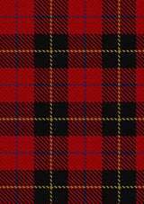 Skinner_Tartan_Fabric_2341