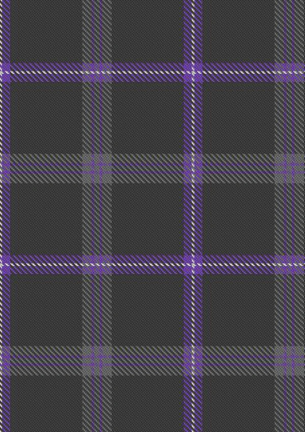 Spirit of Loch Earn Tartan Fabric